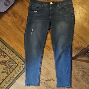 Democracy "AB" Technology Jeans Size 14